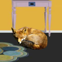 Sleeping Fox Room Escape