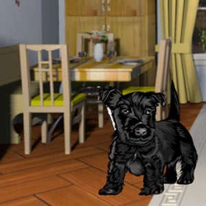 LoL Hidden Objects House Escape