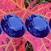 Hidden Gemstones: Autumn Leaves