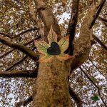 Colorful Autumn Forest 2